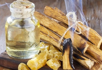 Lee más sobre el artículo Palo Santo