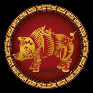 horóscopo chino cerdo